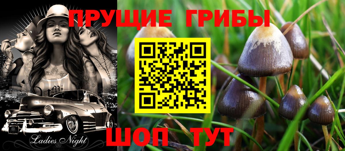 Галлюциногенные грибы ЛСД Сердобск